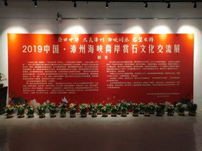 图纹石精品增辉 漳州海峡两岸赏石文化交流展预览